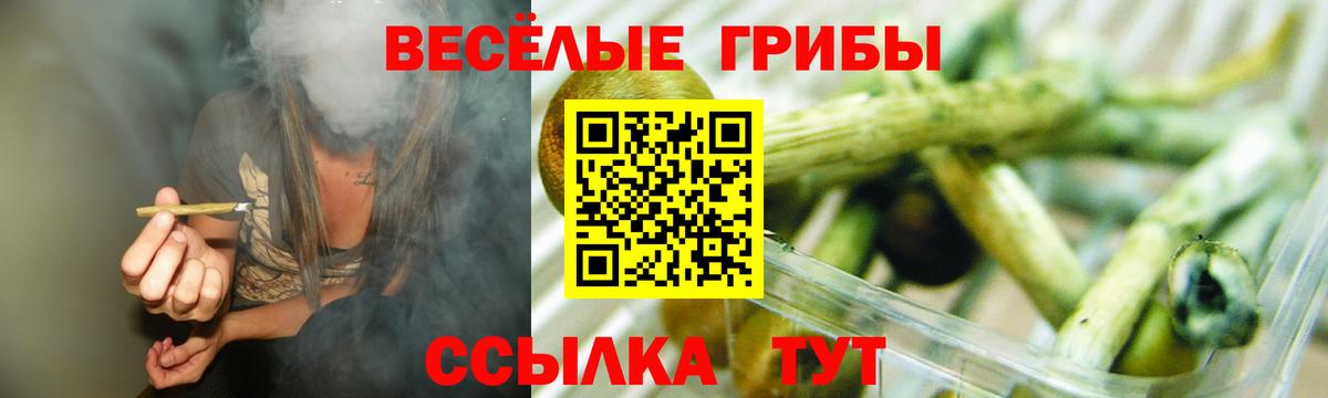 Галлюциногенные грибы MAGIC MUSHROOMS  Вход с VPN  Можайск 